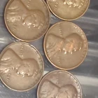 (5) 1931 P Lincoln Wheat Cent  F-VF