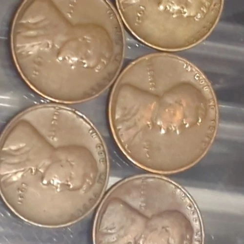 (5) 1931 P Lincoln Wheat Cent  F-VF