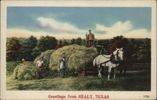 Sealy TX Texas Farming Hay Wagon c1930-50s Vintage Postcard