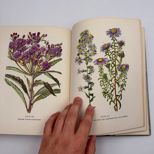 The MacMillan Wild Flower Book - Clarence J. Hylander 1954 1st Edition - Bild 21 von 24