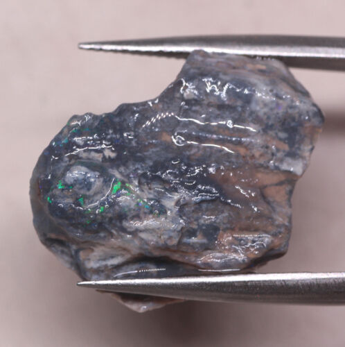 Australia Natural LIGHTNING RIDGE BASE OSCURA ÓPALO FÓSIL ÁSPERO 10,90 cts - Imagen 2 de 7