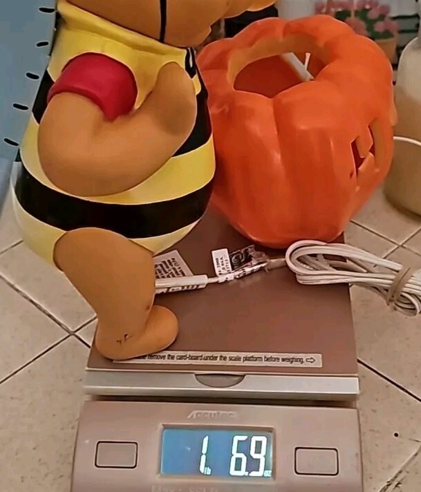 Picture 9 of 9