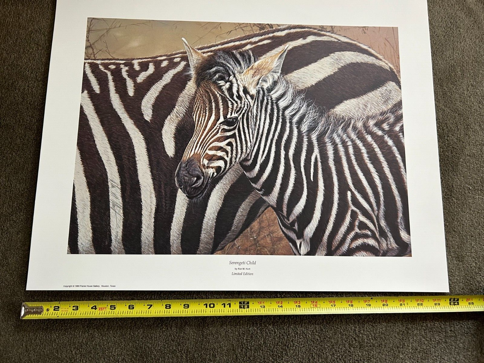 Picture 6 of 6