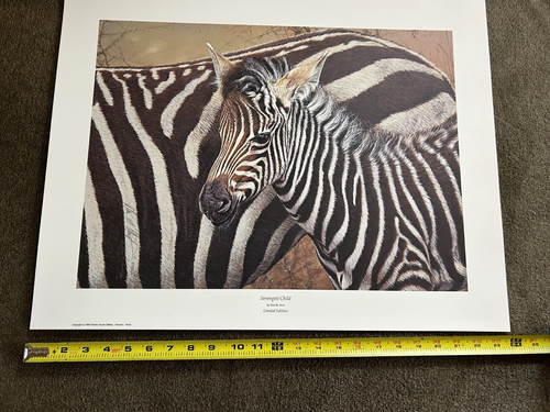 Alan Hunt Signed Print "Serengeti Child" - Zebra - 24"x18" LImited Edition #959 - Picture 6 of 6