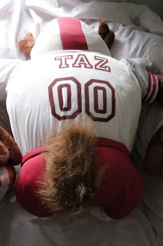 Juego por juego Gigante suave Taz en juguete de equipo de fútbol americano - Imagen 8 de 14