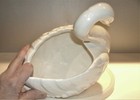Picture 6 of 8