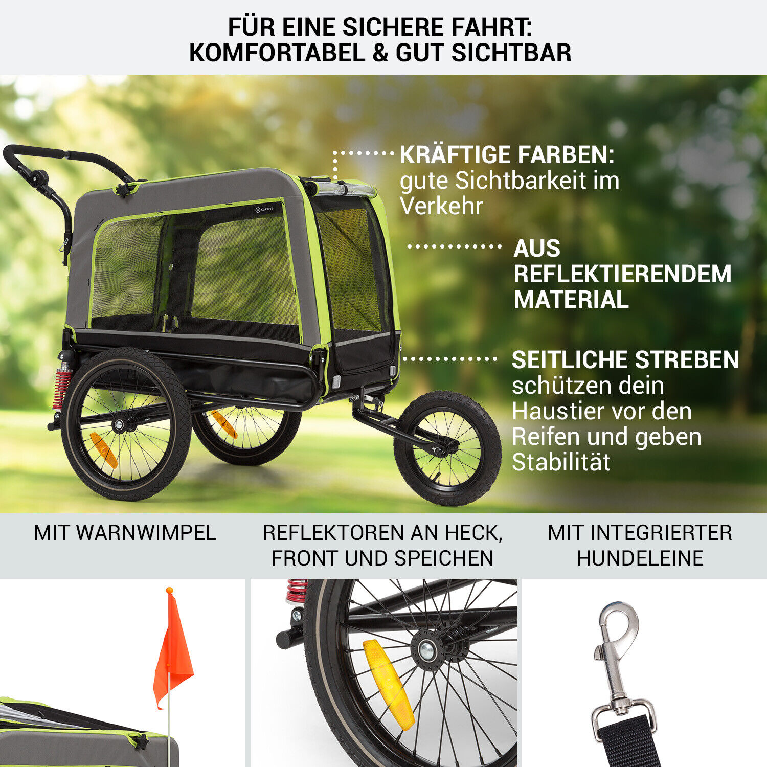 Bild 6 von 11