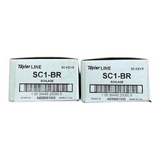 Taylor Line SC1-BR Key Blanks 100 Keys (2x 50 Pack) Brass Schlage Cut Door Locks