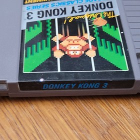 Donkey Kong 3 - Loose - Good - NES