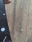 Picture 8 of 10