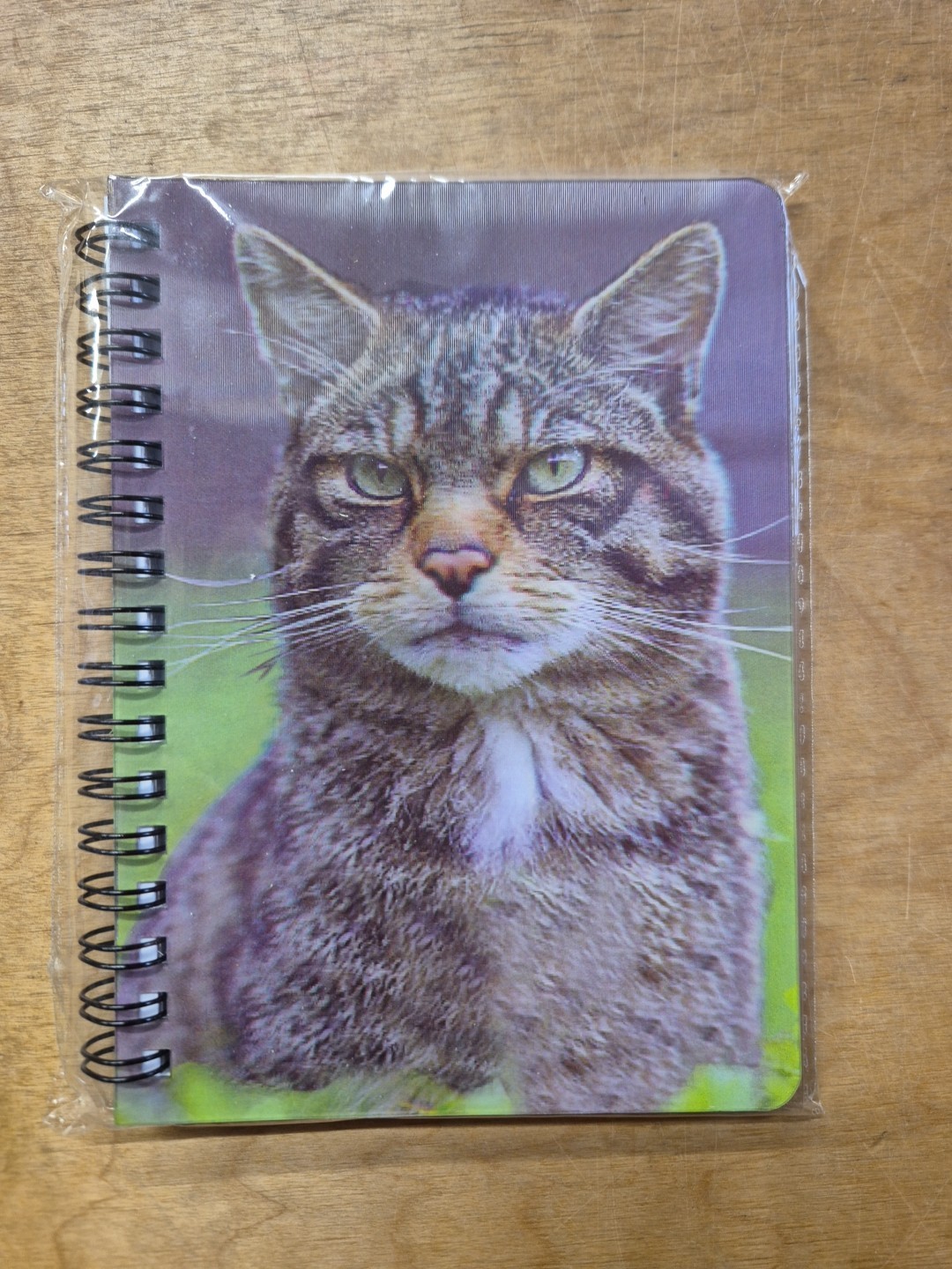 Scottish Wildcat Notebook Scottish Wildcats Notebooks A6 Notepad Cat Notepads