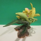 Foto 3 di 9