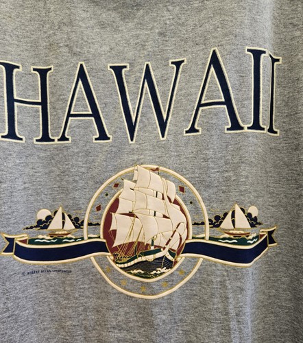 VTG Y2K Jerzees Hawaii Tourist T-Shirt Men M Grey Short Sleeve Heavyweight USA - Picture 6 of 10