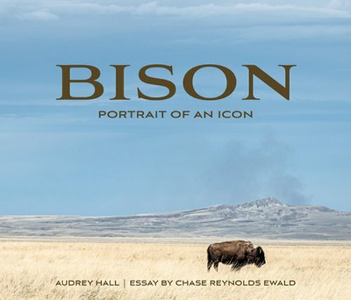 Bison: Portrait of an Icon by Chase Reynolds Ewald: New - Picture 1 of 1