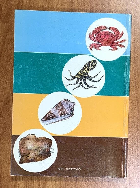 Picture 2 of 12