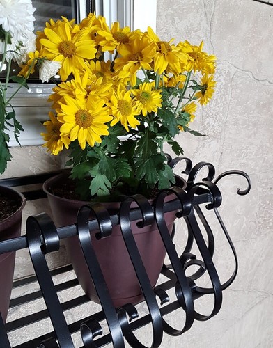 48" window box wrought iron - Picture 6 of 9