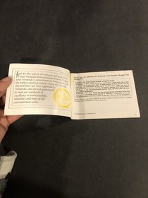 ice hockey Nes Manual
