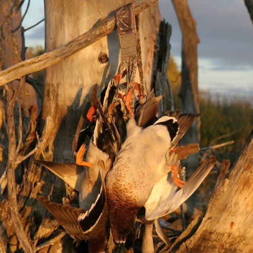 Avery Greenhead Gear Juego Correa de Cerdo Mossy Oak Bottomland Btml Portador de Juego - Imagen 12 de 12