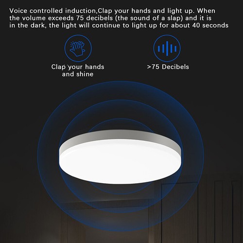 Motion Sensor Light Ceiling Lamps Modern Home Indoor Aisle LED Hanging Induc q-2