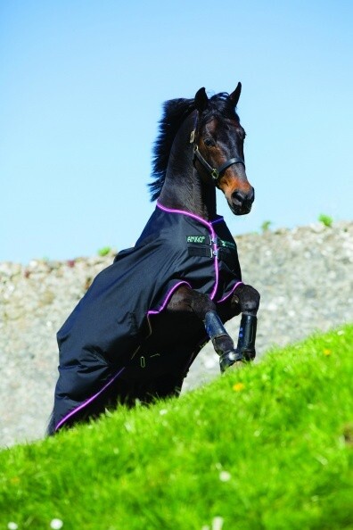 Horseware Amigo Hero 6 600D Turnout - Medium 200G Horseware Amigo Hero 6 600D Turnout - Medium 200G