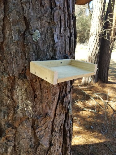 Rustic Wood Birds & Squirrels Feeder - Picture 2 of 9