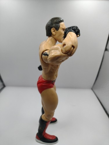 2003 Ken Shamrock Classic Superstars Action Series 11 Figure WWE WCW AEW UFC - Picture 5 of 7