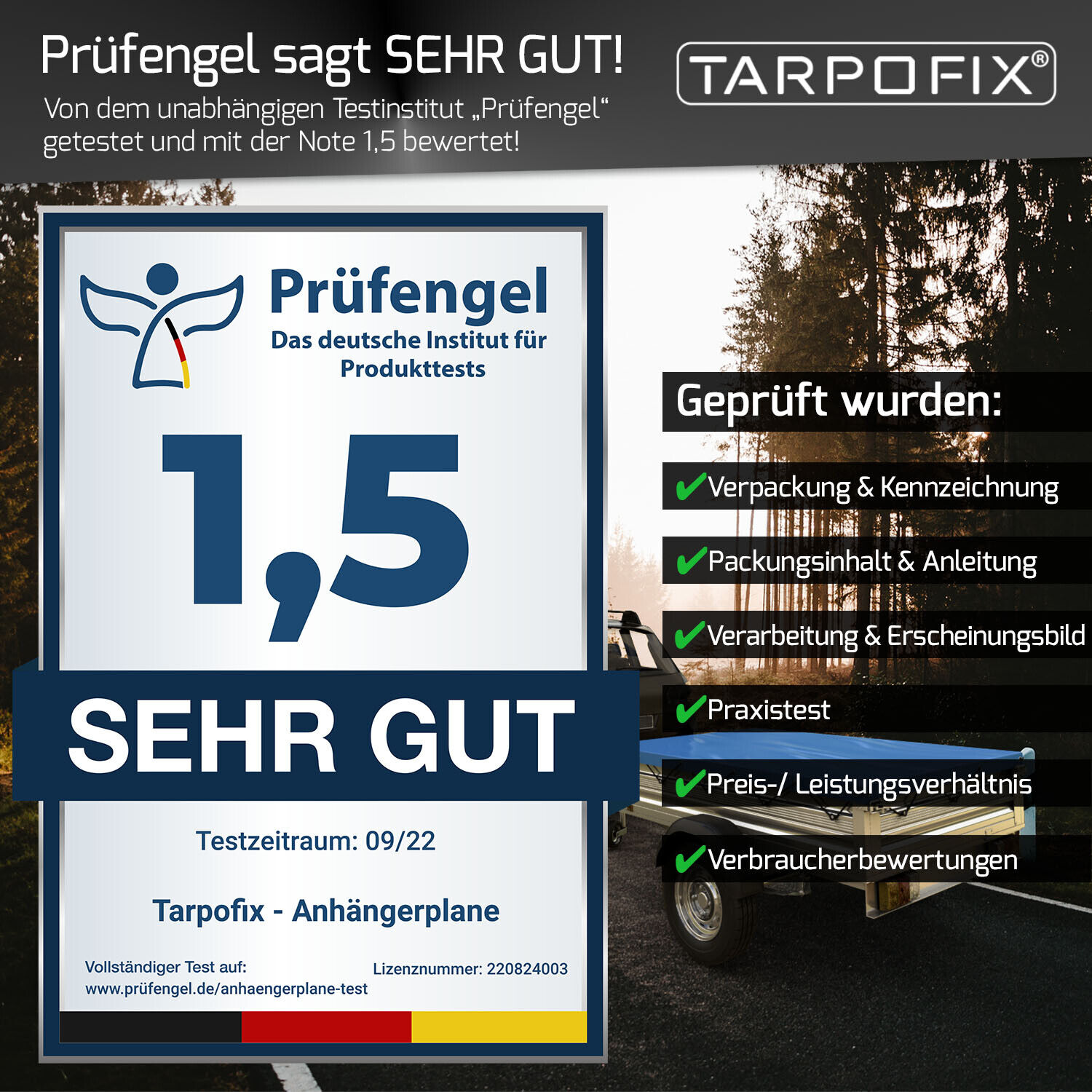 Bild 8 von 9