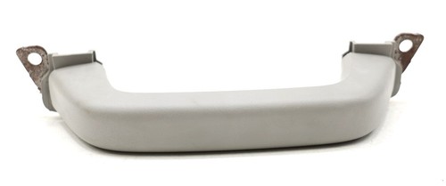 NEW OEM GM Interior Grab Handle Titanium 15803084 Enclave Traverse 2009-2017 - Picture 1 of 5