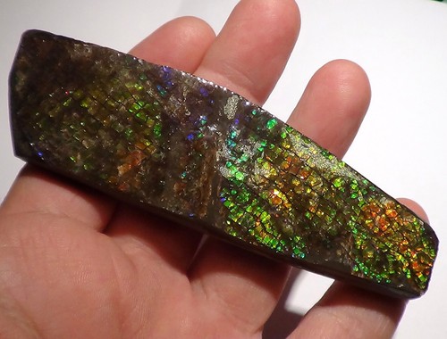 490 Carat! I Sammler Ammolite /Drachenschuppe Rot Grün-Golden-Orange   + VIDEO - Bild 4 von 6