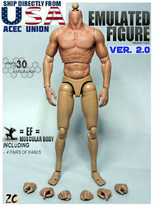 ZC TOYS 1//6 Muscular Nude Figure Body For Hot Toys TTM19 Fit Wolverine Head USA