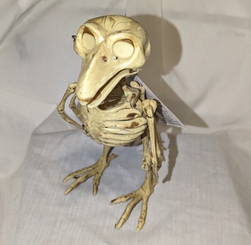 CROW SKELETON Raven Bones HALLOWEEN Prop Decoration Bird Skull