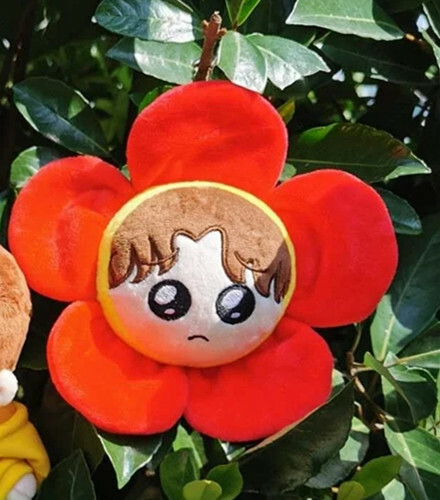 KPOP Bangtan Boy Plush JHOPE Flower Hobe J-HOPE Doll Stuffed Toy Cute Original - Bild 14 von 15
