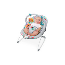 Baby Bouncer Soothing Vibrations Infant Seat - Taggies, Music, Removable -Toy B