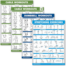 4-Pack: Laminated Workout Posters for Cable, Dumbbell, and Stretching