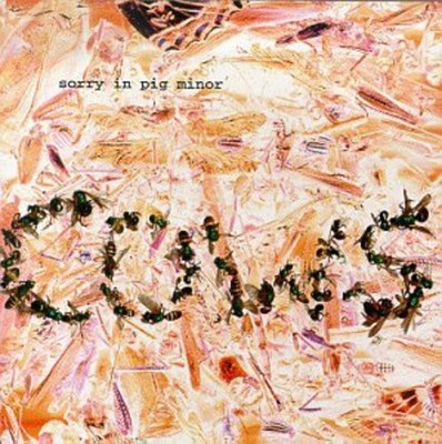 The Cows - Sorry in Pig Minor [New CD]