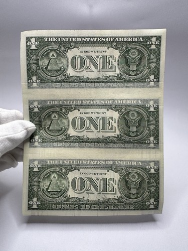 Chris Boyle Money Art Real Dollars 1/1 - Neon Illusion + COA - Picture 19 of 20