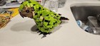 Foto 2 di 5