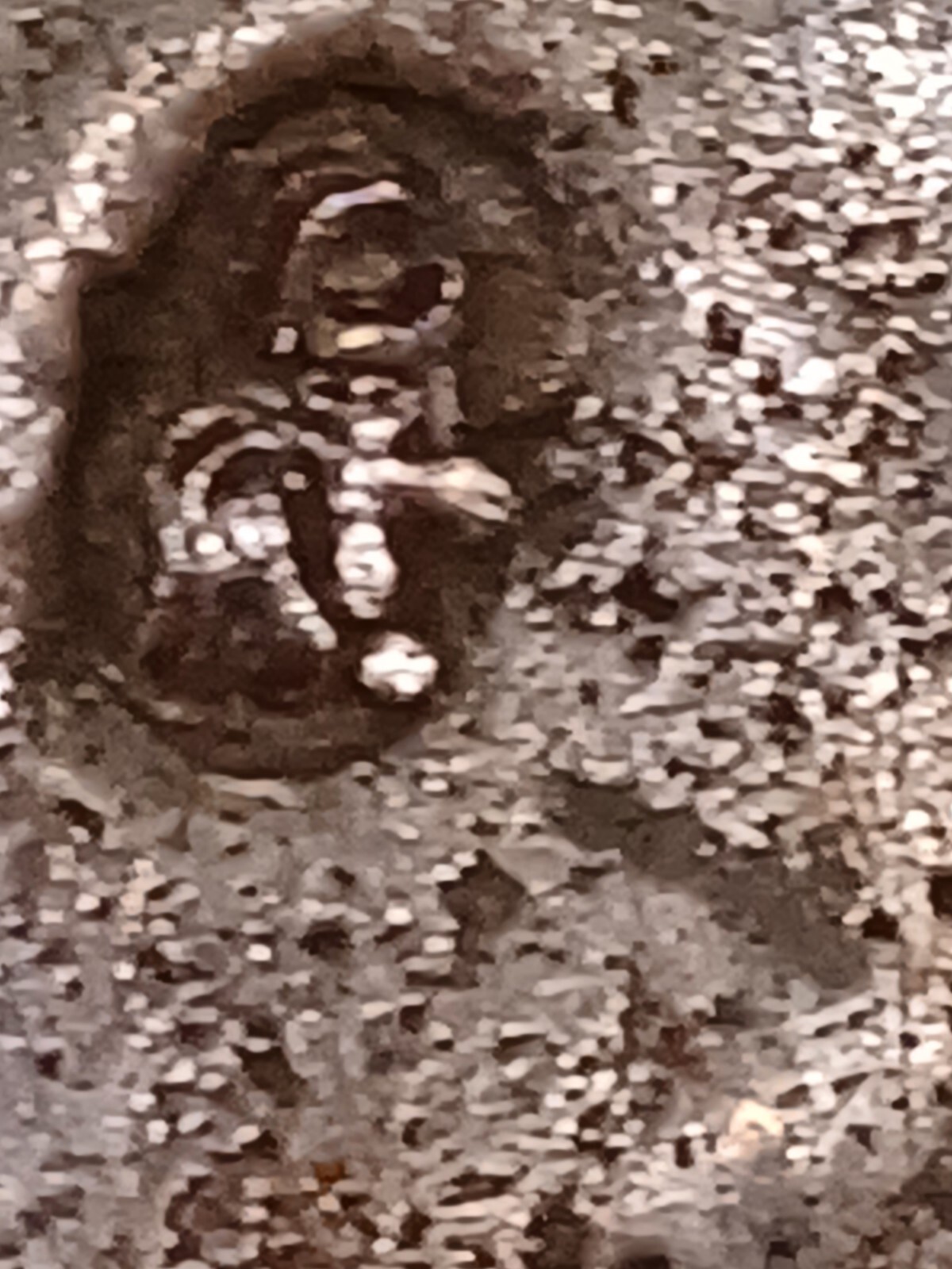 Picture 19 of 20