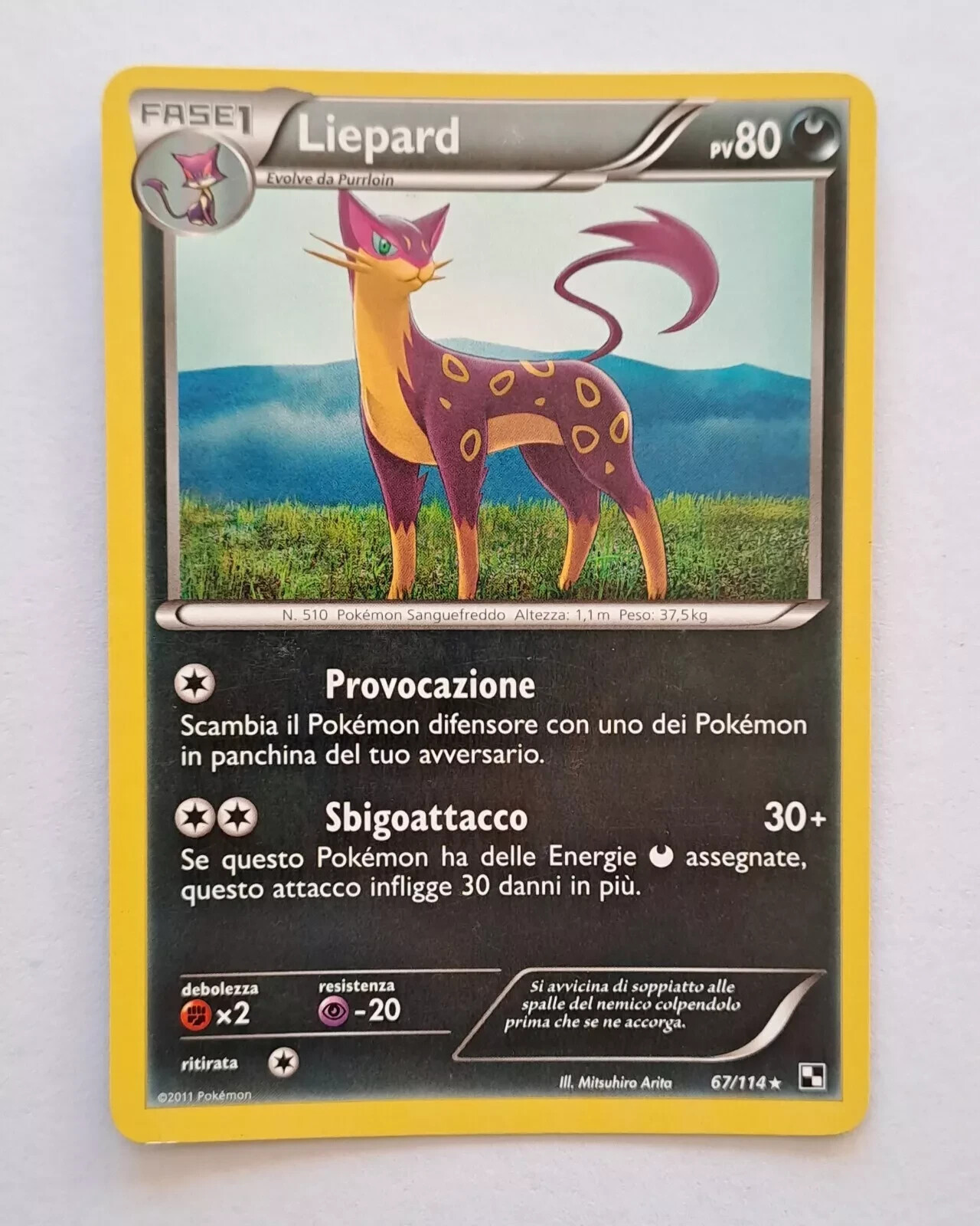 Foto 1 di 2