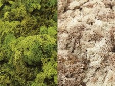 Reindeer Moss Natural, Olive And Dark Green 500g Bag Christmas Decorations 