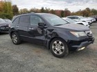 Foto 10 di 11