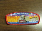 Dan Beard Council s17 CSP