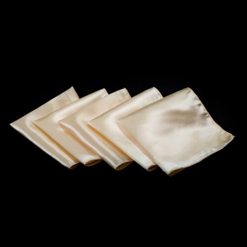 Satin Napkins 12x12 Inch Square Shiny Silky Sateen Cloth Dinner Table Napkin NEW - Picture 14 of 44