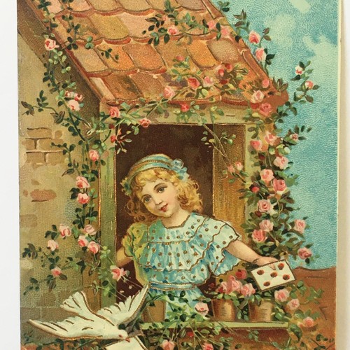 Antique Valentine Postcard Glossy Girl Dove Flower Divided Back 1911 Post 118 - Picture 4 of 9