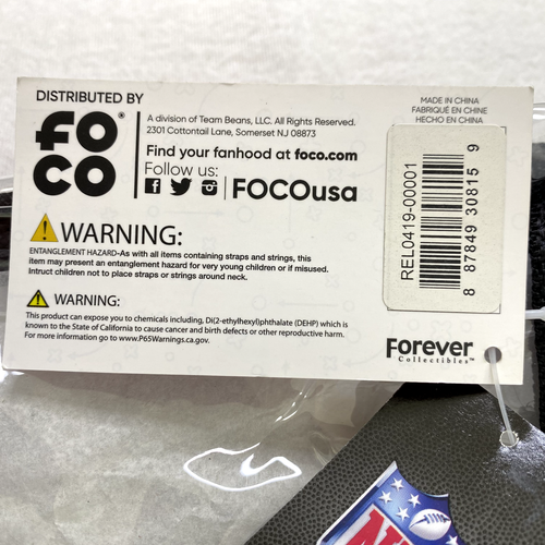 NFL Detroit Lions Clear Handle Bag Purse Handles Stadium Approved 11x11 x5 - Picture 4 of 4