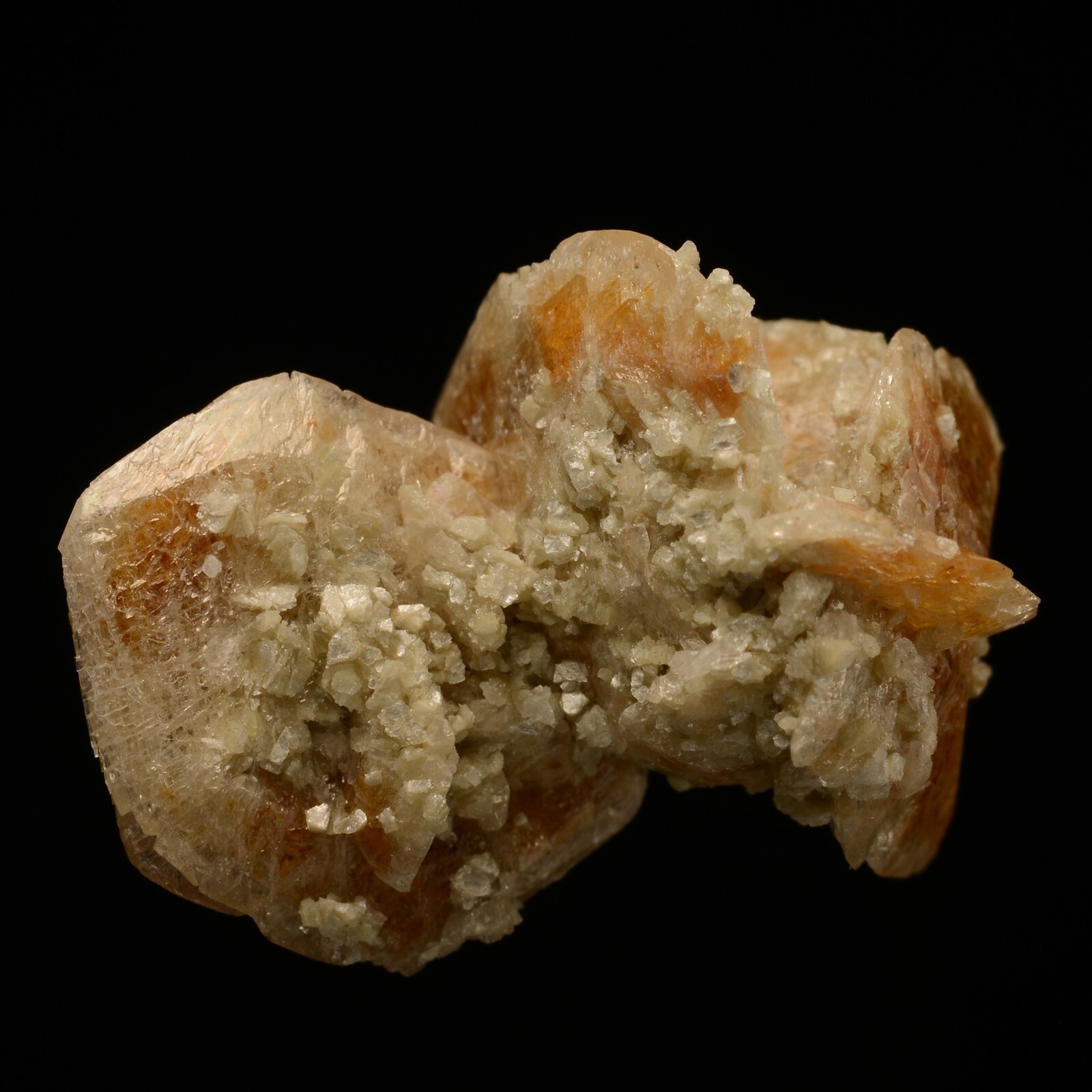 Picture 5 of 7