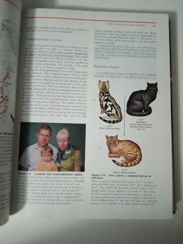 Essentials of Biology by Janet L Hopson & Wessells - Textbook - Imagen 8 de 21
