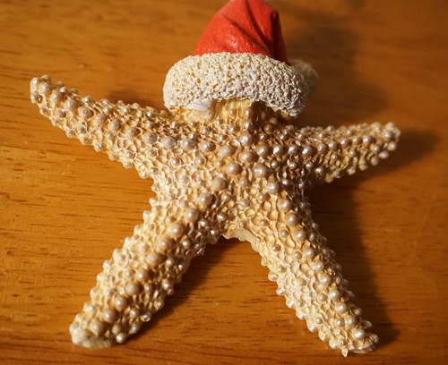 Sand Dollar Starfish Christmas Ornaments Set Nautical Tropical Beach Home Decor - Picture 2 of 5
