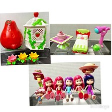 Vtg 1980-2011 Strawberry Shortcake Gazebo Carry Case Figures  Access. Lot Of 16