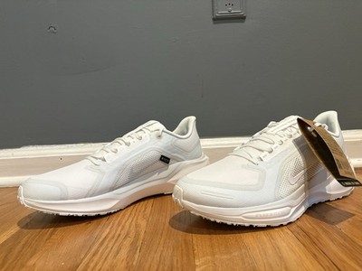 Size 10.5 - Nike Air Zoom Pegasus 41 GORE-TEX Photon Dust FQ1356 101